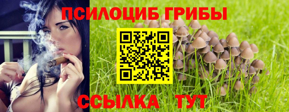 Сухой Лог  Галлюциногенные грибы GOLDEN TEACHER  Вход с VPN 